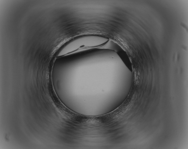 X0000091230348200709061524