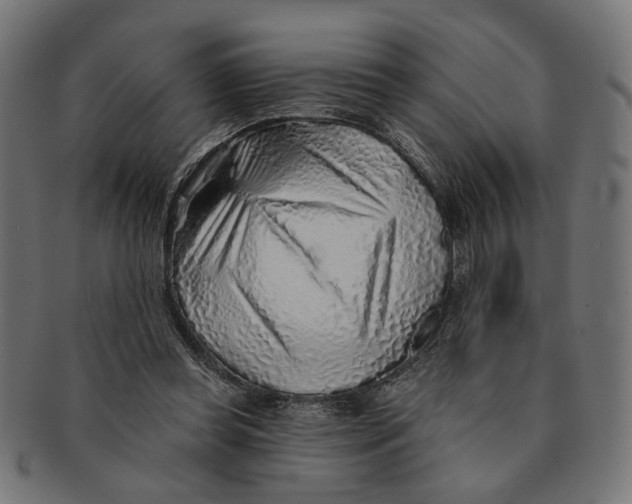 X0000091230349200709061524