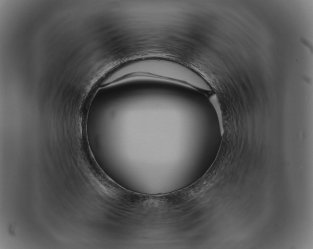 X0000091230350200709061524