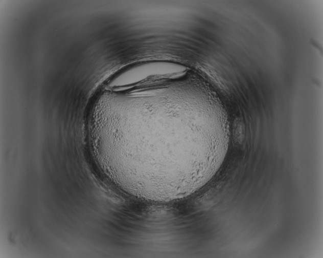 X0000091230351200709061524