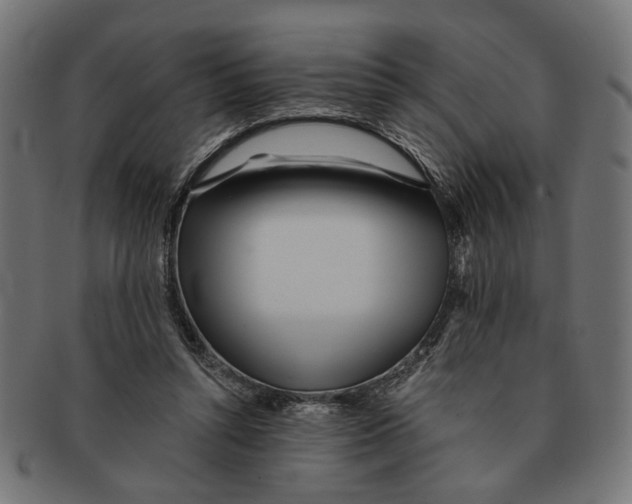 X0000091230352200709061524