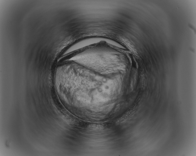 X0000091230354200709061524