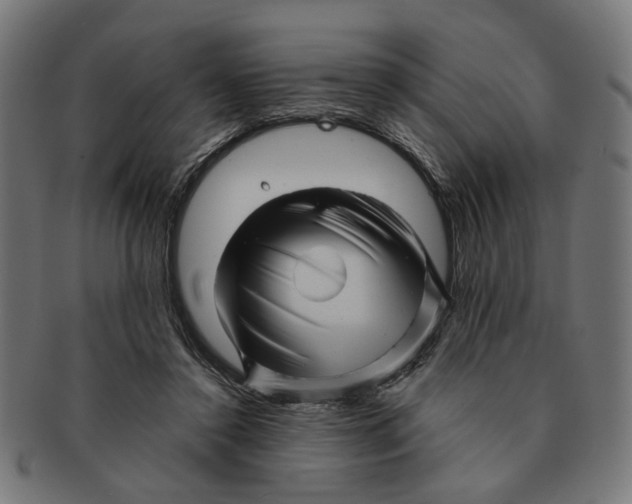 X0000091230356200709061524