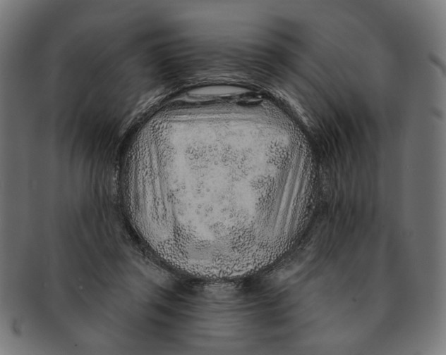 X0000091230357200709061524