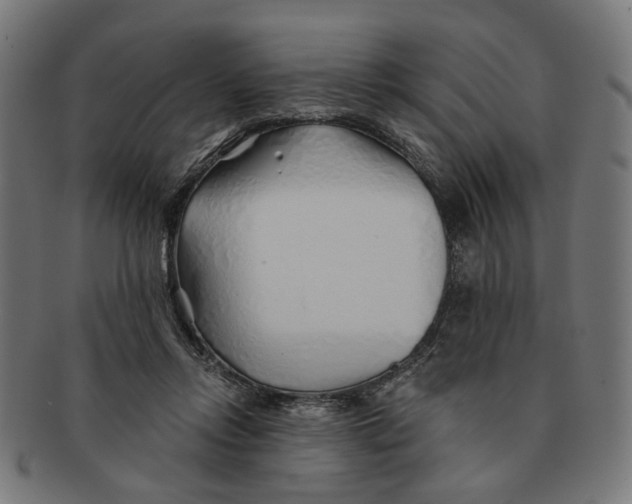 X0000091230358200709061524