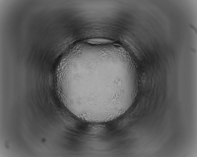 X0000091230359200709061524