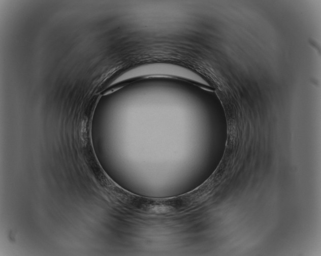 X0000091230360200709061524