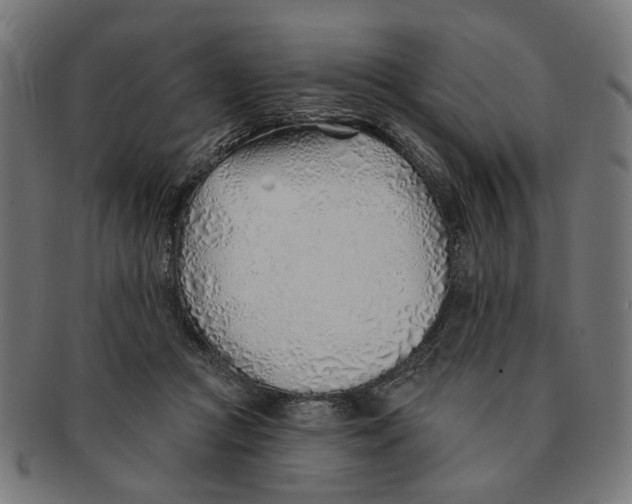 X0000091230361200709061524