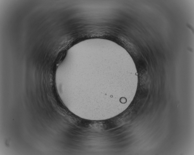 X0000091230362200709061524