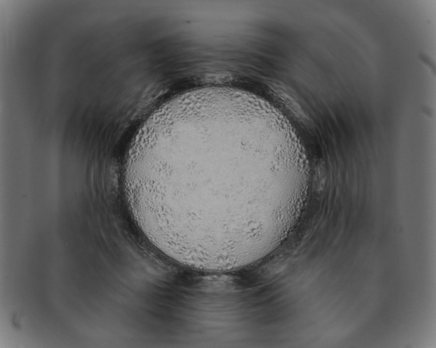 X0000091230363200709061524
