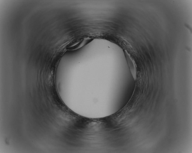 X0000091230364200709061524