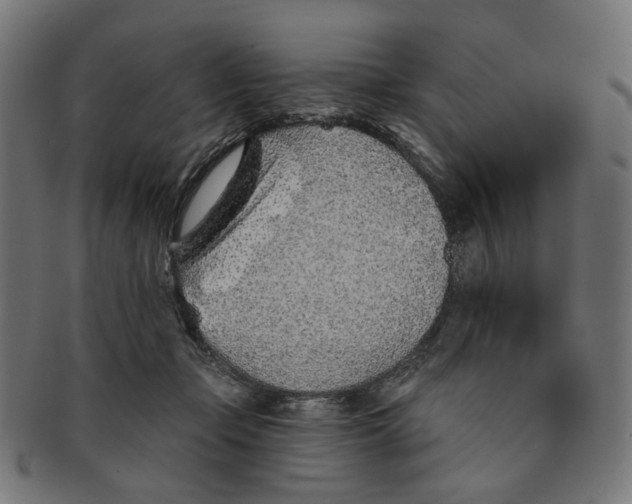 X0000091230365200709061524