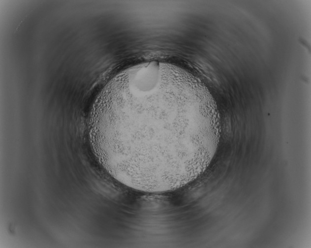 X0000091230367200709061524