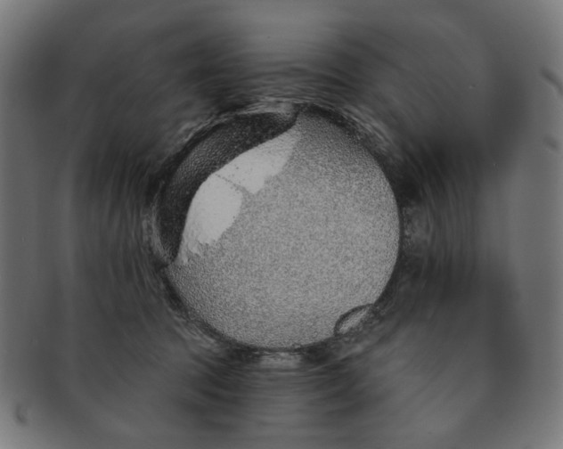 X0000091230369200709061524