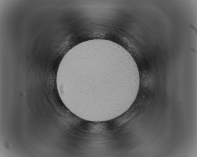 X0000091230370200709061524