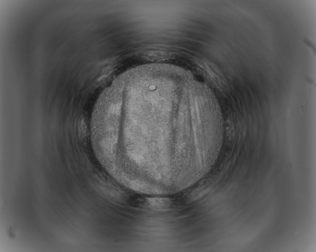 X0000091230371200709061524