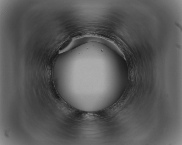 X0000091230372200709061524