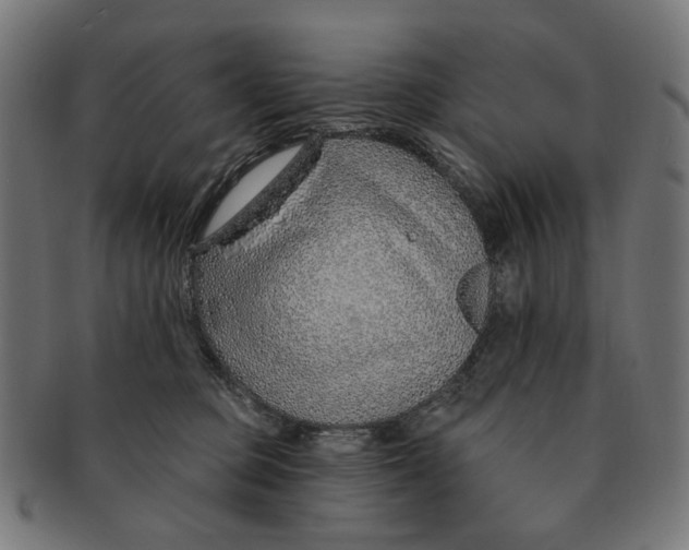 X0000091230373200709061524