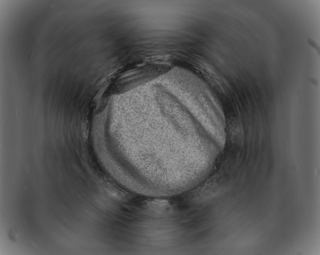 X0000091230374200709061524
