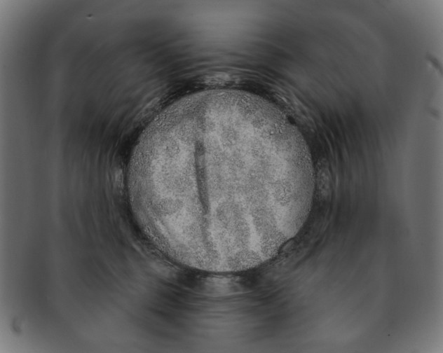 X0000091230375200709061524