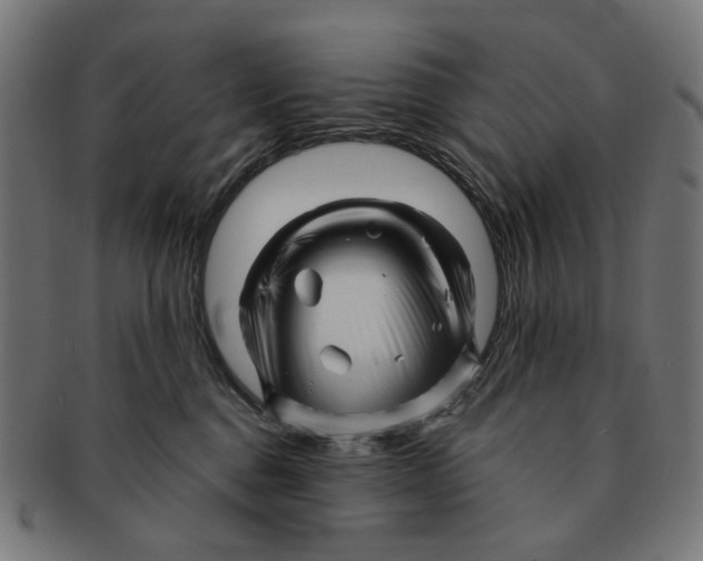 X0000091230376200709061524