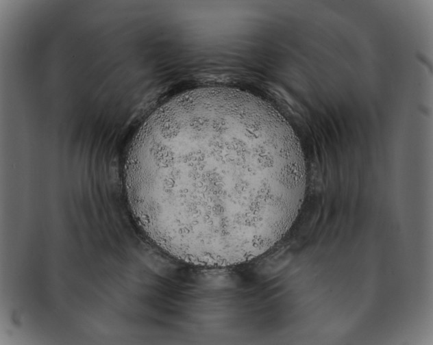 X0000091230377200709061524