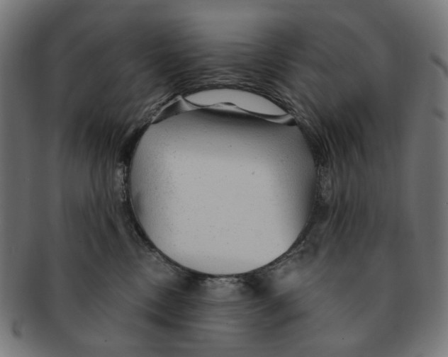 X0000091230378200709061524