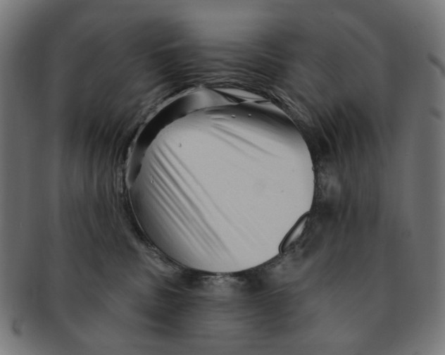 X0000091230379200709061524