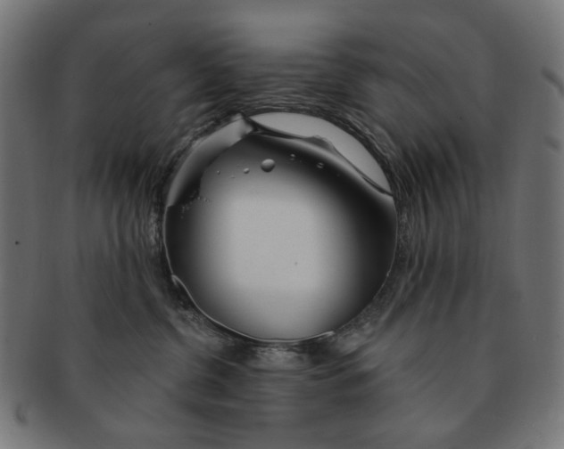 X0000091230380200709061524