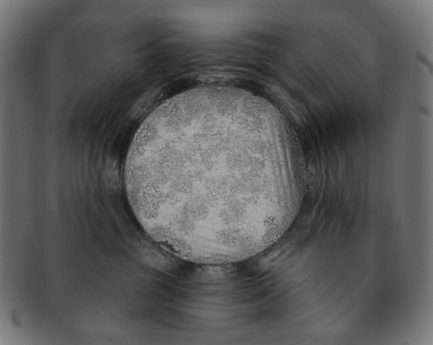 X0000091230381200709061524