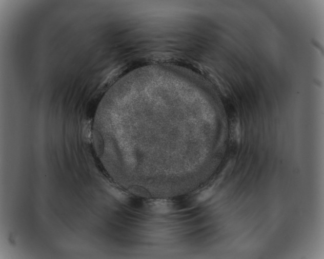 X0000091230383200709061524