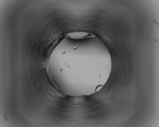 X0000091230384200709061524