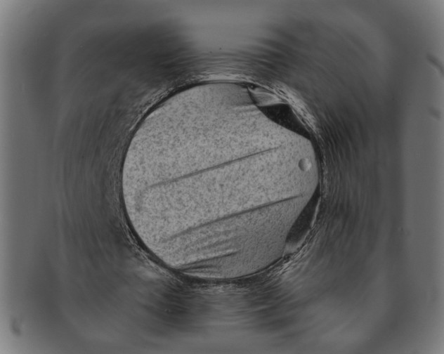 X0000091230385200709061524