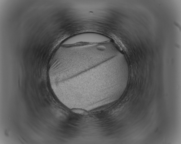 X0000091230386200709061524