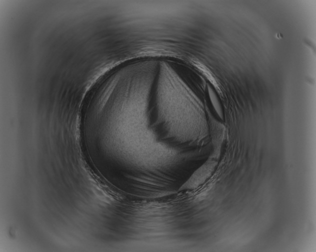 X0000091230387200709061524