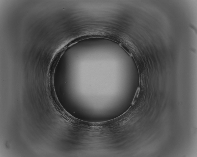 X0000091230388200709061524