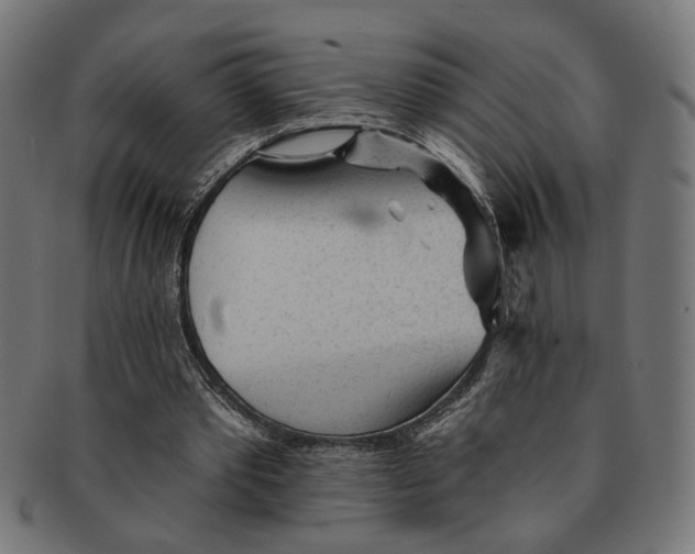 X0000091230389200709061524