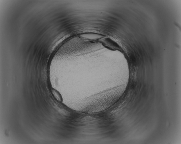 X0000091230390200709061524