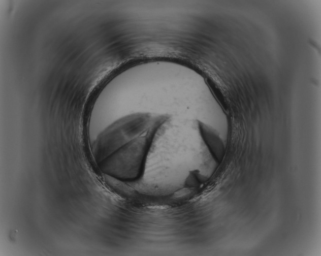X0000091230391200709061524