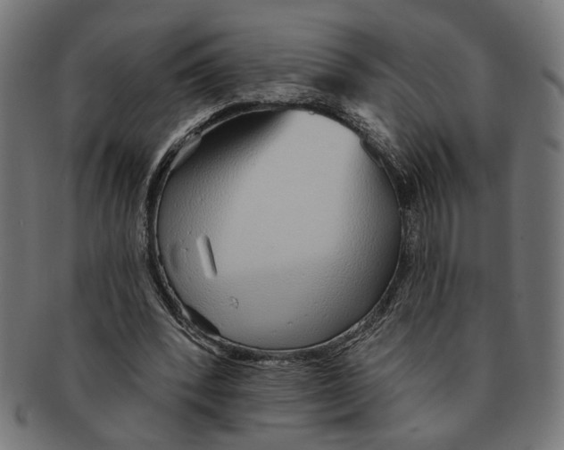 X0000091230392200709061524