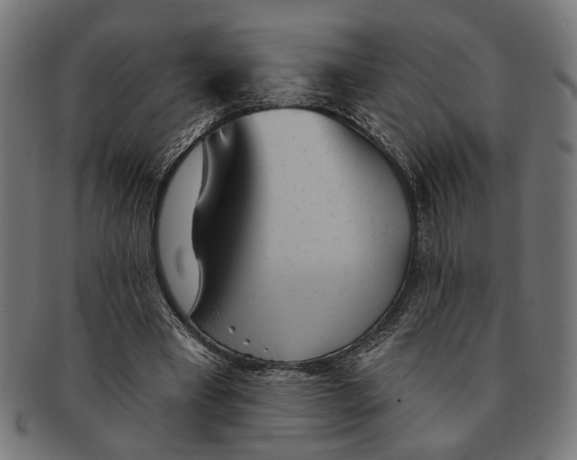 X0000091230393200709061524
