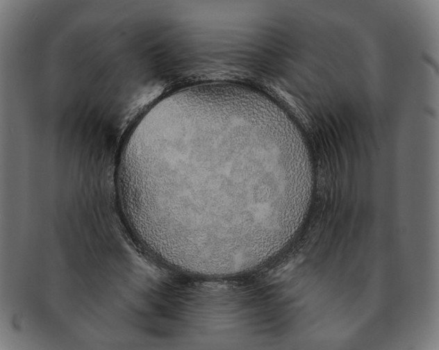 X0000091230394200709061524