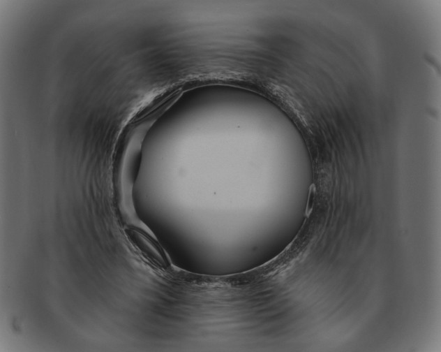 X0000091230395200709061524