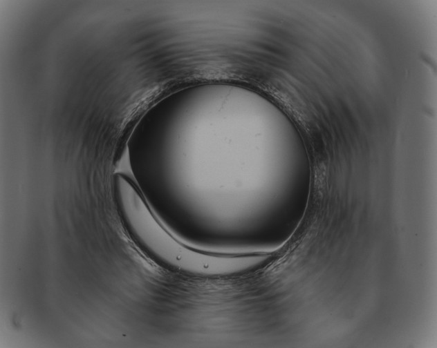 X0000091230397200709061524