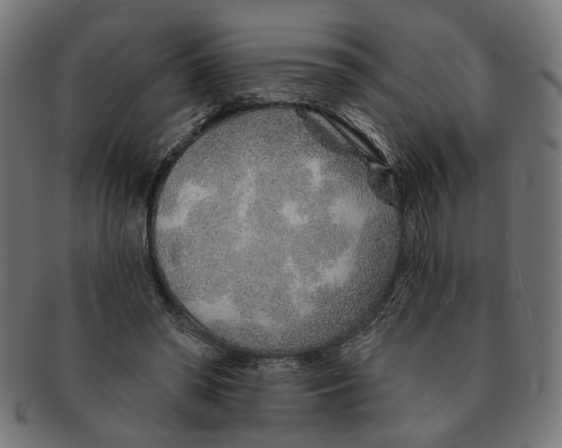 X0000091230398200709061524