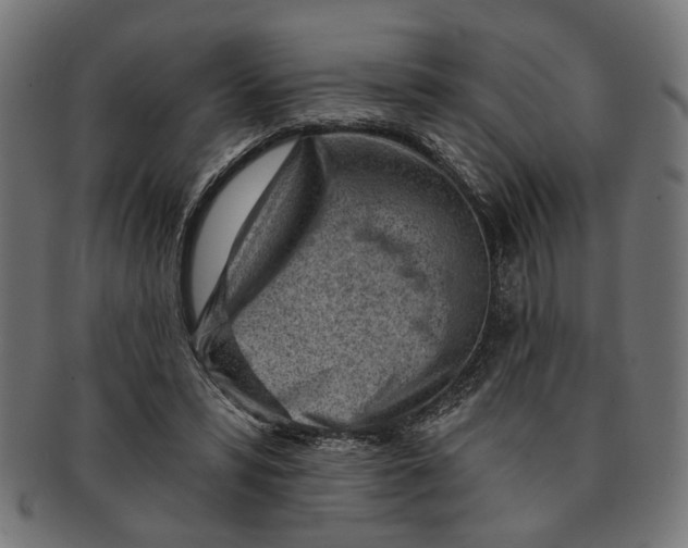 X0000091230399200709061524