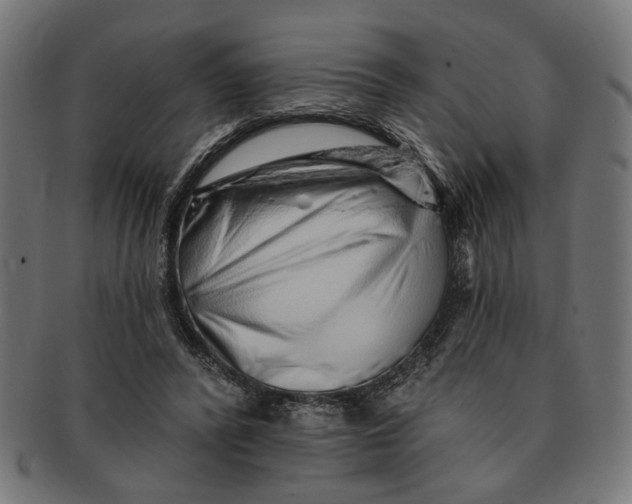 X0000091230400200709061523
