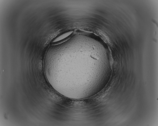 X0000091230401200709061523