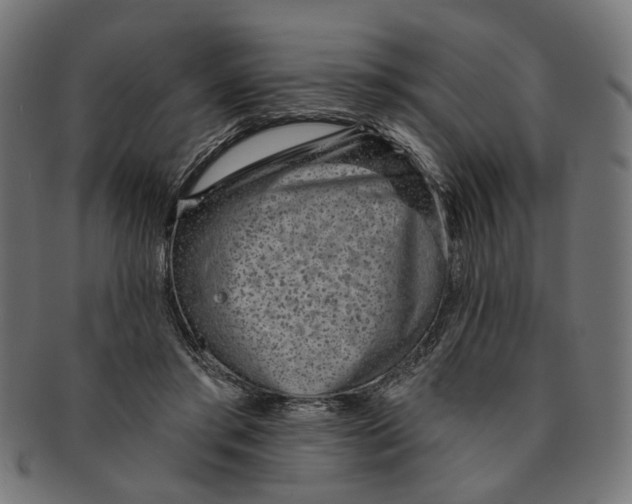 X0000091230405200709061523