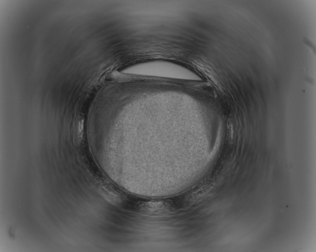 X0000091230406200709061523